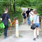  Sproing Pics (23/169)